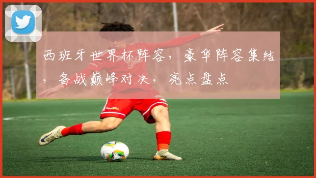西班牙世界杯阵容，豪华阵容集结，备战巅峰对决，亮点盘点